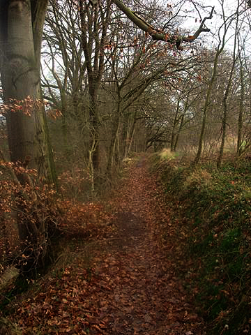 Wandern%2026.18
